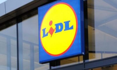 anaklisi-LIDL-anakaleitai-dimofiles-trofimo-ellinikis-paragogis-logo-mouchlas_1751615287-1200×900