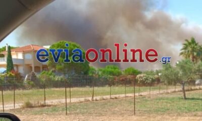 687a71e4-evia-900×473