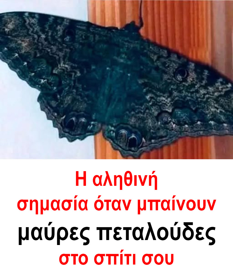 KSENO ARTHRO METAFRASI 3