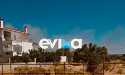 foria-evia-13-7-2025-1068×712.jpg