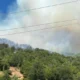 grevena-deskati-fotia-1-768×461