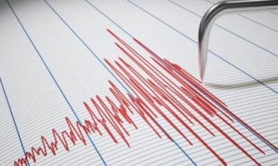seismografosmaketa
