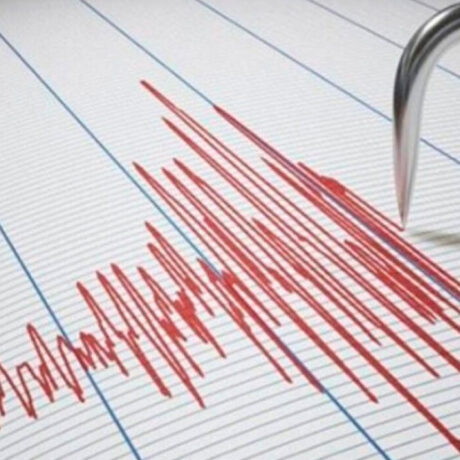 seismografosmaketa