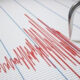 seismografosmaketa