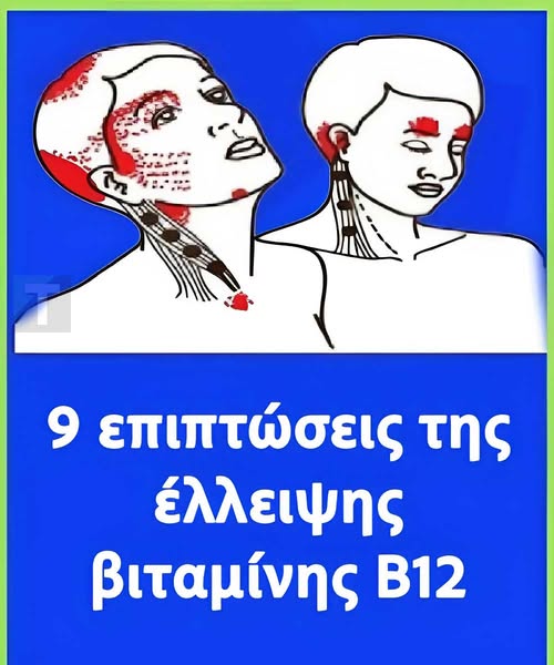 528729446_1155574196615887_6162221037838609753_n