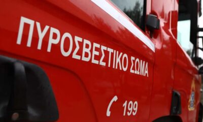 -736-1024×576