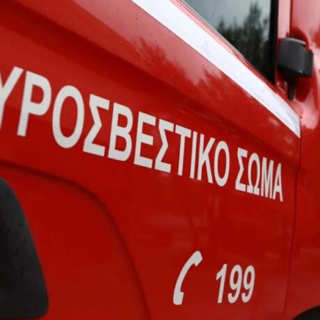-736-1024×576