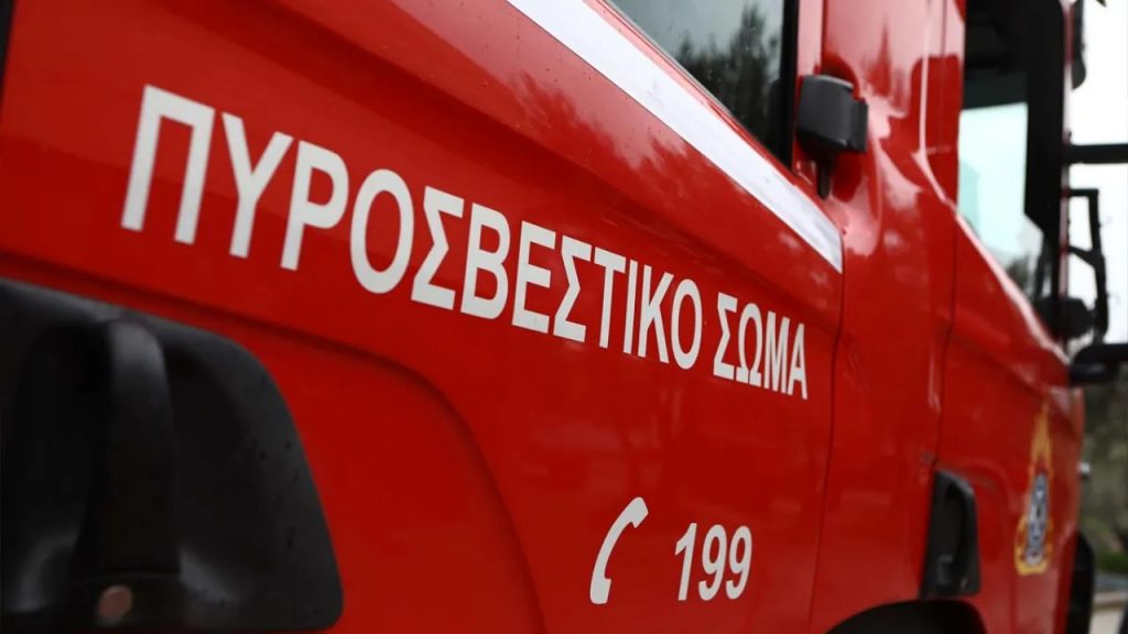-736-1024×576