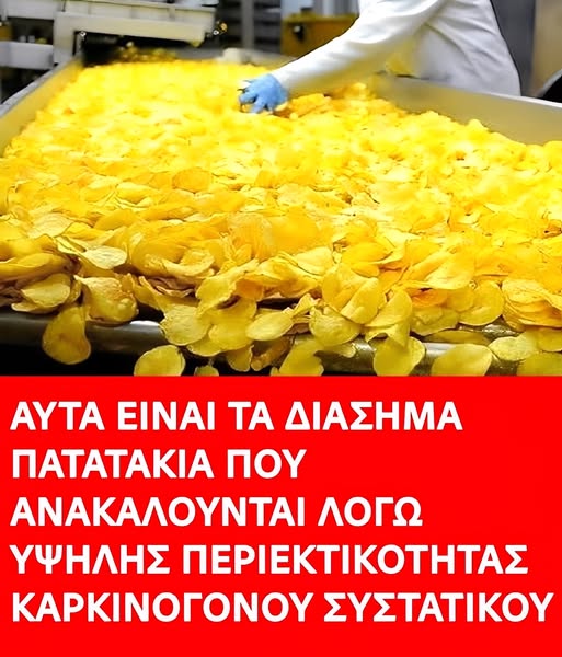 532180708_1163532439153396_7831395933620767223_n