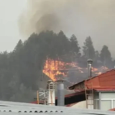 grevena_fotia