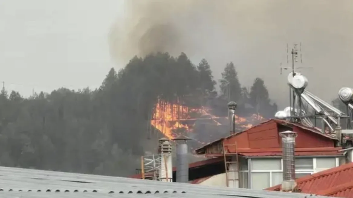 grevena_fotia