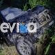 euboia (1)