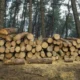 3f5baa34-woods-2088981_1920