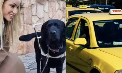 odigos-taxi-arnithike-stin-tyfli-paraolympioniki-karolina-pelendritou-na-echei-mazi-tis-ton-skylo-odigo-tis