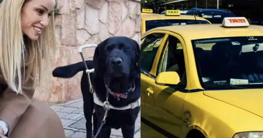 odigos-taxi-arnithike-stin-tyfli-paraolympioniki-karolina-pelendritou-na-echei-mazi-tis-ton-skylo-odigo-tis