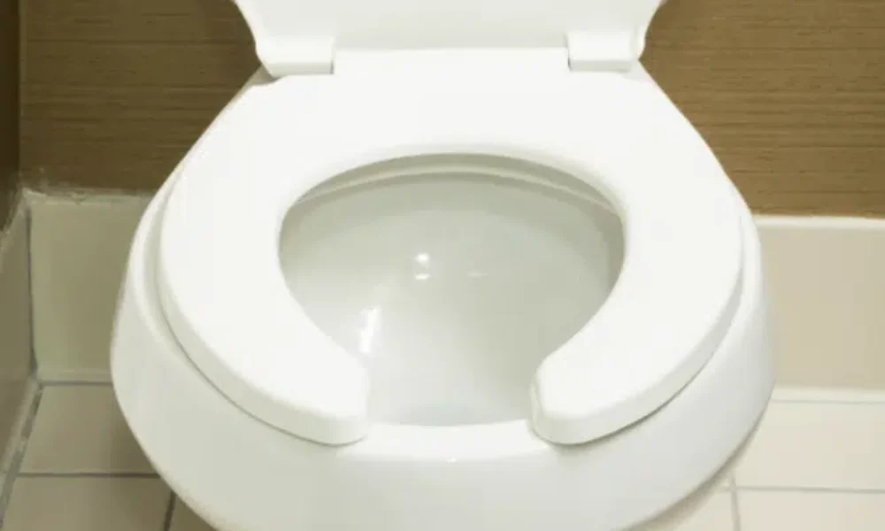 toiletseat-673×420.png