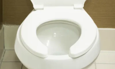 toiletseat-673×420.png