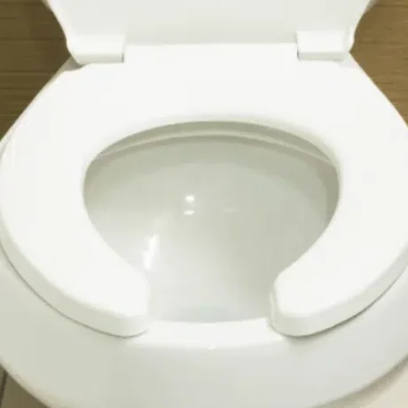 toiletseat-673×420.png