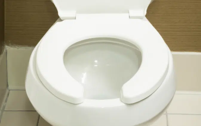 toiletseat-673×420.png