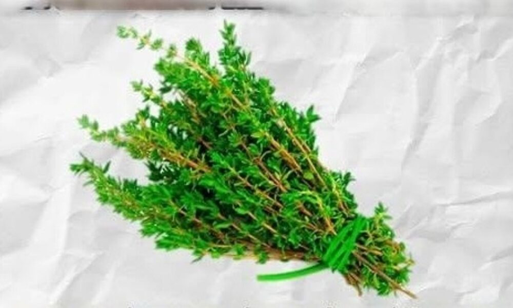 fysiko-detox-rofima-gia-tin-apomakrynsi-parasiton-apo