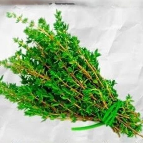 fysiko-detox-rofima-gia-tin-apomakrynsi-parasiton-apo