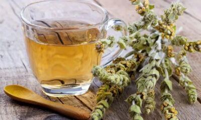 tsai-garifalou-to-mikro-thavma-tis-fysis-pou