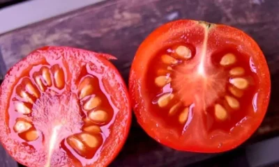3333-4.jpg-660×320