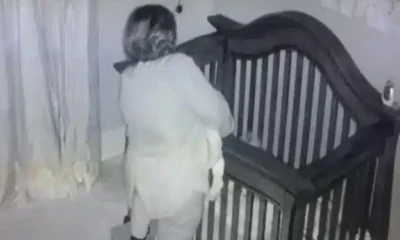 9747910318238580749.jpg