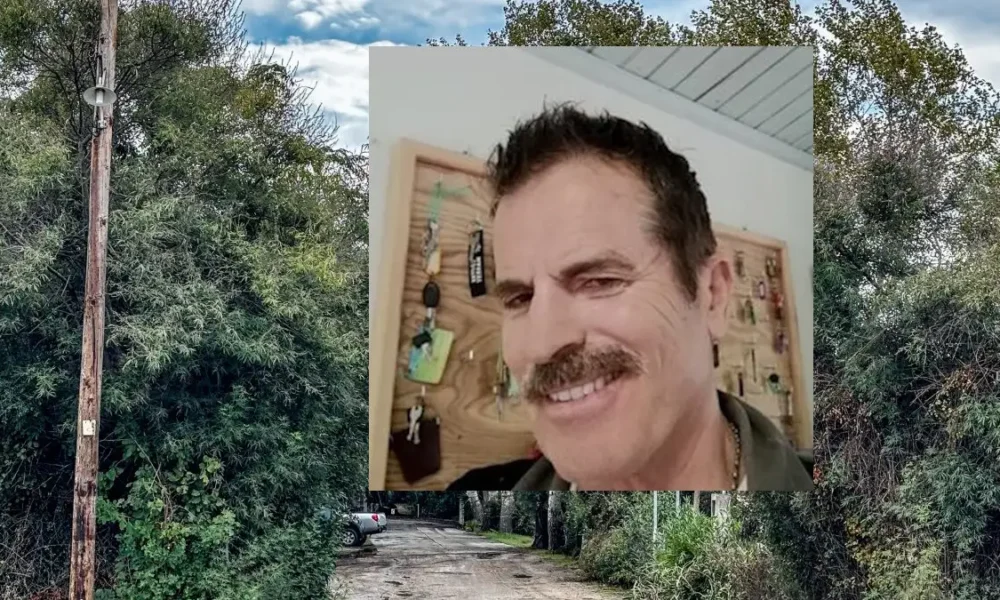 foinikounta-camping-dolofonia-1200×675-2 (2)