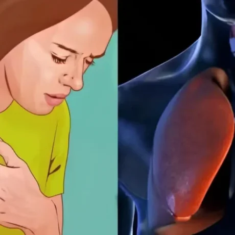 1-83-1536×906.jpg-900×473