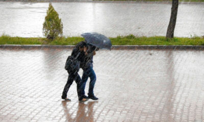 1759573049408-201456919-kakokairia