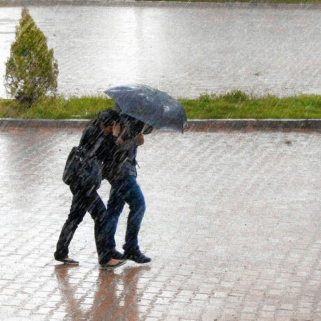 1759573049408-201456919-kakokairia