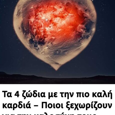 577511012_868831858978803_6204902452829205268_n