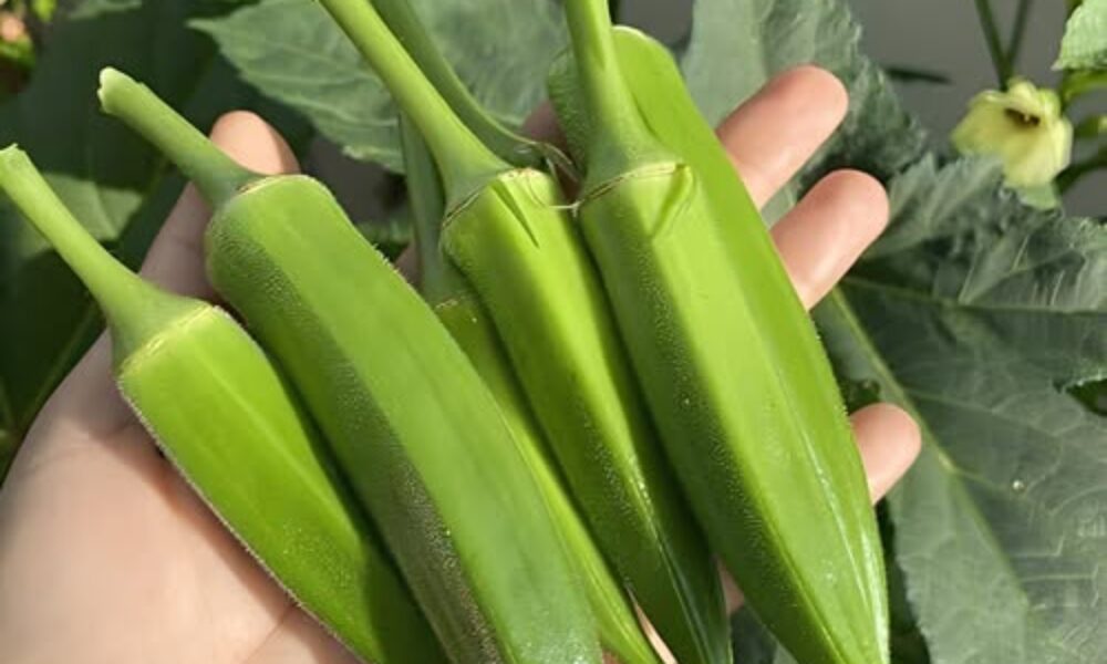 577620287_802299392621334_2853154298328925466_n