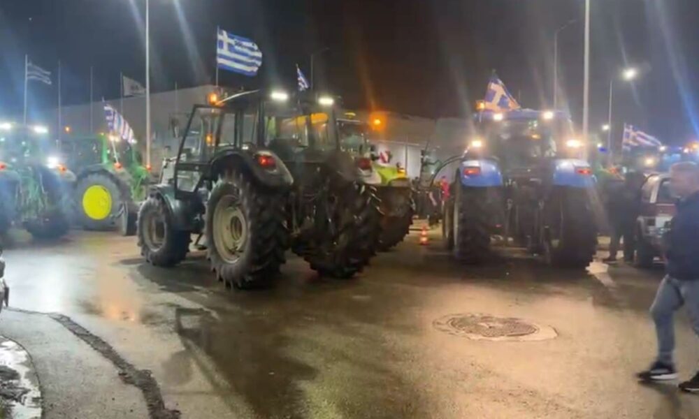 agrot0006-1200×796-1