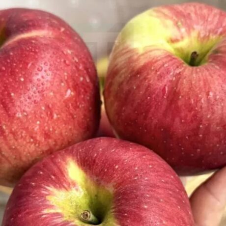 stigmiotypo-othonis-2025-11-12-15.32.13