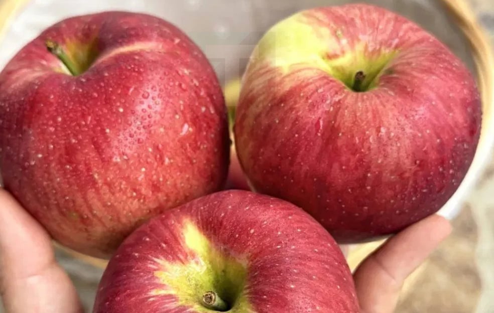 stigmiotypo-othonis-2025-11-12-15.32.13