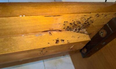 prosochi-an-deite-afta-ta-simadia-sto-derma