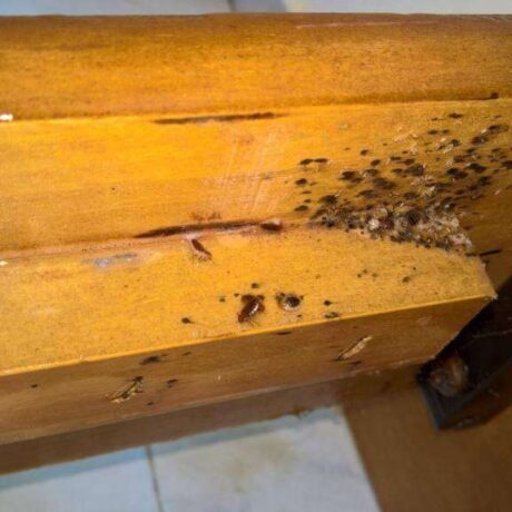 prosochi-an-deite-afta-ta-simadia-sto-derma