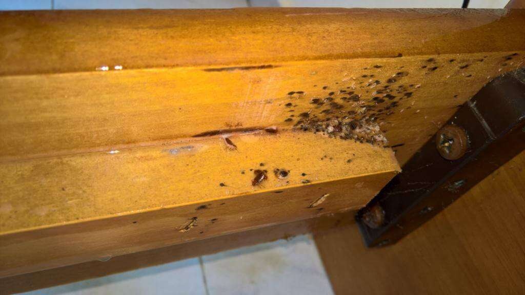 prosochi-an-deite-afta-ta-simadia-sto-derma