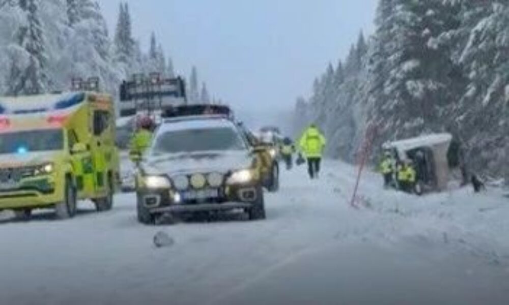 2ccd17c1-leoforeio-sweden