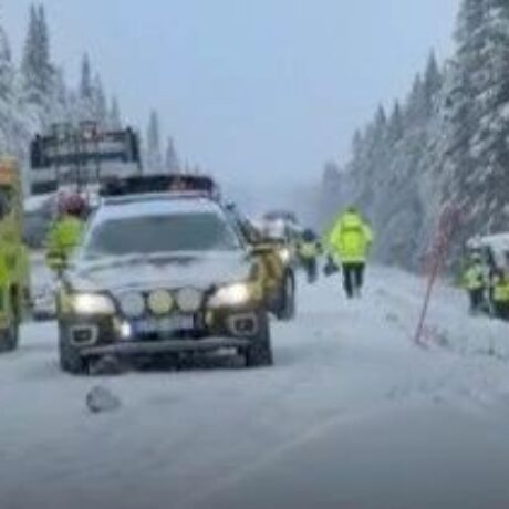 2ccd17c1-leoforeio-sweden