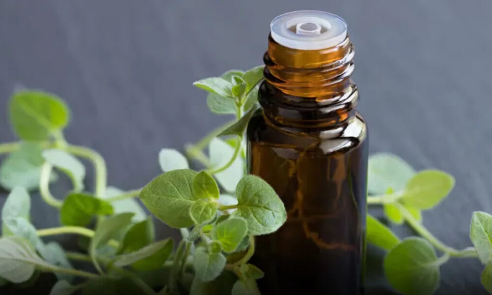 to-pio-isxupo-votano-pou-katastpefei-papasita-loimoxeis