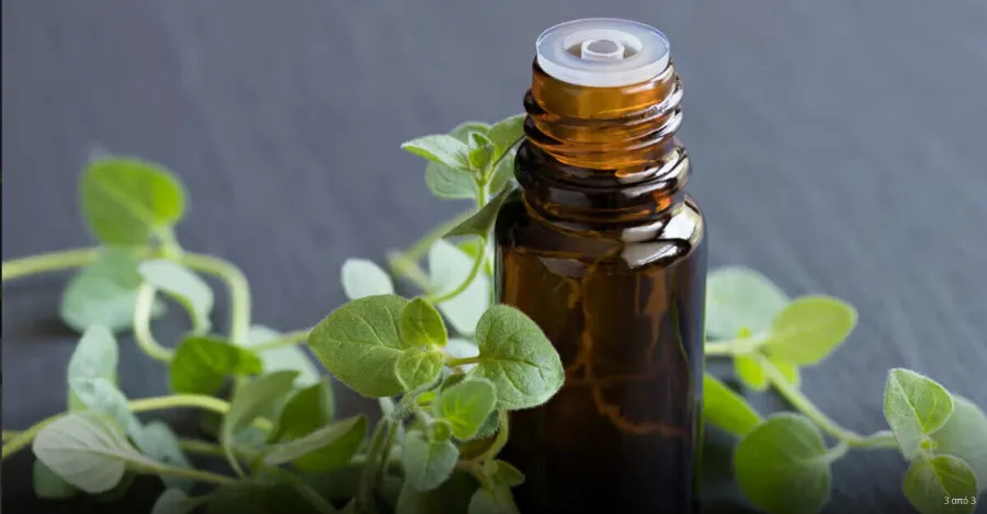 to-pio-isxupo-votano-pou-katastpefei-papasita-loimoxeis