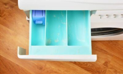 simera-ematha-oti-to-syrtari-aporrypantikou-sto-plyntirio