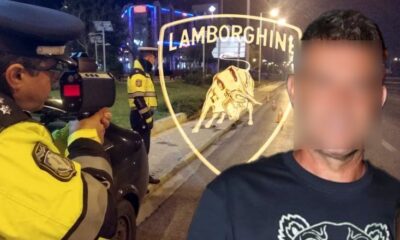 1200_Lambo2-782×440 (1) (1)