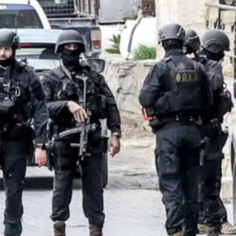 agria-venteta-stin-kriti-ekopsan-ti-glossa-ktinotrofou