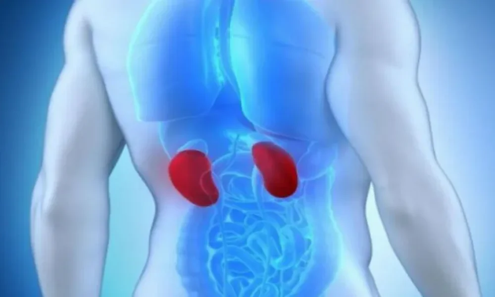 an-ta-nefra-sas-vriskontai-se-kindyno-to-soma-sas-tha-emfanise-afta-ta-10-simadia