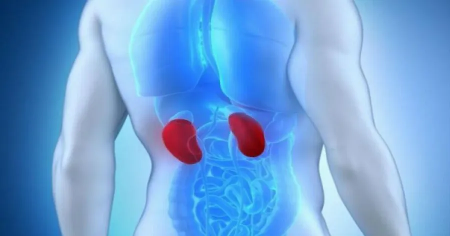 an-ta-nefra-sas-vriskontai-se-kindyno-to-soma-sas-tha-emfanise-afta-ta-10-simadia