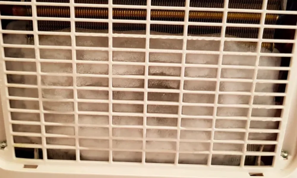 den-eichame-idea-ta-sovara-provlimata-ygeias-pou-prokalei-o-afygrantiras